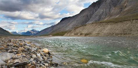 kobug|Kobuk Valley National Park